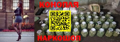 PSILOCYBIN Гатчина