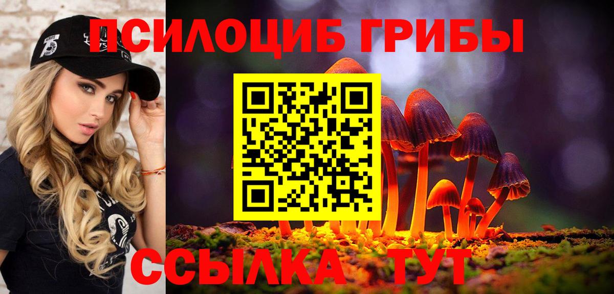 Галлюциногенные грибы MAGIC MUSHROOMS Заволжье