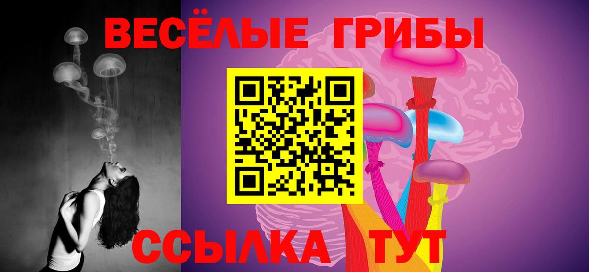 Галлюциногенные грибы GOLDEN TEACHER  Вход с VPN  Заволжье  Галлюциногенные грибы Psilocybe 